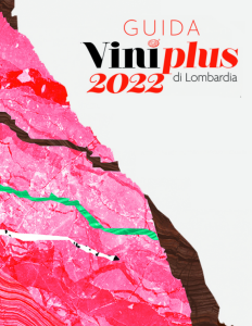 AIS Lombardia Viniplus 2022 - Copertina